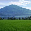 Areal Pertanian yang Nantinya akan ditetapkan sebagai Lahan PLP2B